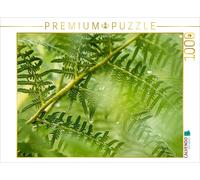 Puzzle CALVENDO Fougère aigle (Pteridium aquilinum) | 1000 pièces, format assemb