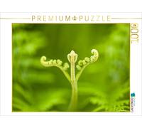 Puzzle CALVENDO Fougère aigle (Pteridium aquilinum) | 1000 pièces, format assemb