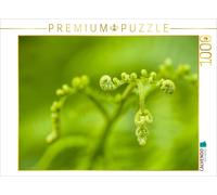 Puzzle CALVENDO Fougère aigle (Pteridium aquilinum) | 1000 pièces, format assemb