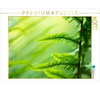 Puzzle CALVENDO Fougère mâle (Dryopteris filix-mas) | 1000 pièces, format assemb