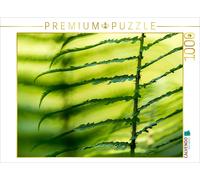 Puzzle · Fougère mâle (Dryopteris filix-mas | 1000 pièces · Format assemblé 64 × 48 cm · CALVENDO Puzzle