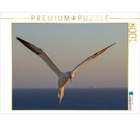 Puzzle CALVENDO Fous de Bassan en vol | 1000 pièces, format assemblé 64 × 48 cm