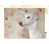 CALVENDO Puzzle Galga Blanc 1000 Pieces 64 x 48 cm from Kathrin Köntopp