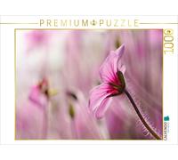 Puzzle CALVENDO Géranium de Madère | 1000 pièces, format assemblé 64 × 48 cm | P