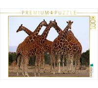 CALVENDO Puzzle Girafes - Réunion 1000 Pieces 64 x 48 cm from Michael Herzog