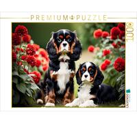 Puzzle CALVENDO Golden Kavalier King Charles Spaniel | 1000 pièces, format assem