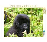 CALVENDO Puzzle Gorille de Montagne au Rwanda 1000 Pieces 64 x 48 cm from Michael Herzog
