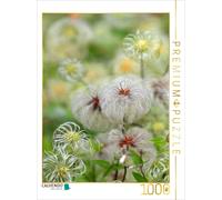 Puzzle CALVENDO Graines de vigne vierge | 1000 pièces, format assemblé 64 × 48 c