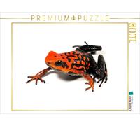 Puzzle CALVENDO Grenouille à flèches empoisonnées - Ameerega silverstonei | 1000