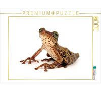 CALVENDO Puzzle Rainette Crapaudine venimeuse - Trachycephalus venulosus 1000 Pieces 64 x 48 cm from Benny Trapp