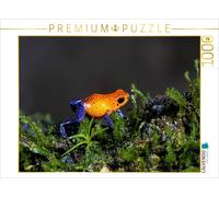 CALVENDO Puzzle Grenouille des Fraises (Dendrobates pumilio) 1000 Pieces 64 x 48 cm from Uwe Bergwitz