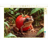 Puzzle CALVENDO Grenouille tomate | 1000 pièces, format assemblé 64 × 48 cm | Pu
