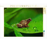 Puzzle CALVENDO grenouille verte | 1000 pièces, format assemblé 64 × 48 cm | Puz