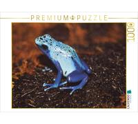 Puzzle CALVENDO Grenouille verte à dos bleu | 1000 pièces, format assemblé 64 ×