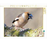 CALVENDO Puzzle Kernbeißer 1000 Teile Puzzle quer 1000 Pieces 64 x 48 cm from Klaus Feske