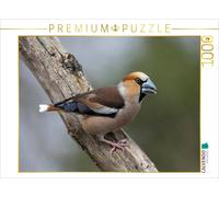 Puzzle CALVENDO Grive draine | 1000 pièces, format assemblé 64 × 48 cm | Puzzle