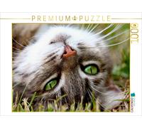 Puzzle CALVENDO Gros plan sur un chat | 1000 pièces, format assemblé 64 × 48 cm