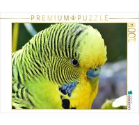Puzzle CALVENDO Gros plan sur une perruche apprivoisée | 1000 pièces, format ass