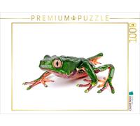 CALVENDO Puzzle Grenouille géante Macro - Phyllomedusa Bicolor 1000 Pieces 64 x 48 cm from Benny Trapp