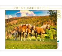 Puzzle · Groupe avec Poulain | 1000 pièces · Format assemblé 64 × 48 cm · CALVENDO Puzzle