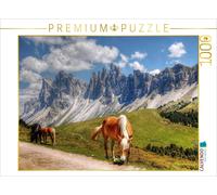 CALVENDO Puzzle Groupe Geisler - Rasciesa Alpe - Dolomites de Val Gardena 1000 Pieces 64 x 48 cm from uwe vahle