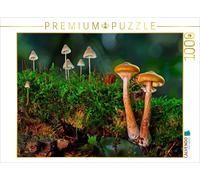 Puzzle CALVENDO Groupes de champignons | 1000 pièces, format assemblé 64 × 48 cm