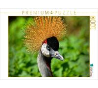 Puzzle CALVENDO Grue à couronne | 1000 pièces, format assemblé 64 × 48 cm | Puzz