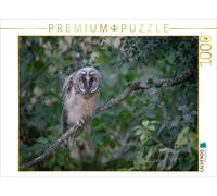 Puzzle CALVENDO Hibou des bois, jeune en branche | 1000 pièces, format assemblé