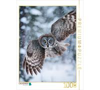Puzzle CALVENDO Hibou en vol | 1000 pièces, format assemblé 64 × 48 cm | Puzzle