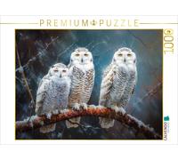 Puzzle CALVENDO Hiboux des neiges | 1000 pièces, format assemblé 64 × 48 cm | Pu