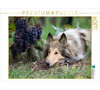 Puzzle CALVENDO Highland Hawk Fame dans les vignobles | 1000 pièces, format asse