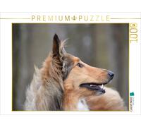 Puzzle CALVENDO Highland Hawk Fame : toujours vigilant | 1000 pièces, format ass
