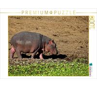 CALVENDO Wibke Woyke Puzzle Hippopotame sur la Campagne Afrique 1000 pièces Taille de la Pose 64 x 48 cm Photo Puzzle Image