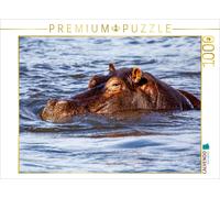 Puzzle CALVENDO Hippopotame dans le parc national de Chobe | 1000 pièces, format