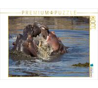 CALVENDO Puzzle Nilpferde 1000 Teile Puzzle quer 1000 Pieces 64 x 48 cm from Johann Schörkhuber