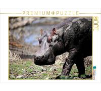 Puzzle CALVENDO Hippopotames - Après un bain de boue | 1000 pièces, format assem