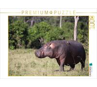Puzzle CALVENDO Hippopotames - Promenade matinale | 1000 pièces, format assemblé
