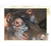 CALVENDO Puzzle Hippopotamus - Regard des Yeux 1000 Pieces 64 x 48 cm from Michael Herzog