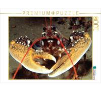 Puzzle · Homard européen | 1000 pièces · Format assemblé 64 × 48 cm · CALVENDO Puzzle
