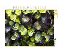 CALVENDO Puzzle Hortensia Paysan Violet-Vert 1000 Pieces 64 x 48 cm from Martina Cross