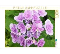 CALVENDO Puzzle Plaque Hydrangea 'You and Me Romance 1000 Pieces 64 x 48 cm from Gisela Kruse