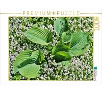 CALVENDO Puzzle Hosta 'Big Daddy' entouré d'aspérités. 1000 Pieces 64 x 48 cm from Jutta Heußlein