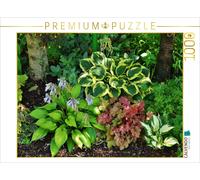 CALVENDO Jutta Heußlein Puzzle Hosta « June Fever », « Twilight », « Fire and Ice » avec Heuchera de 1000 pièces, Taille 64 x 48 cm