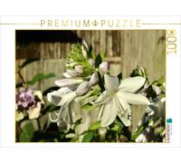 CALVENDO Puzzle Hosta parfumé 'Fragrant Bouquet 1000 Pieces 64 x 48 cm from Jutta Heußlein