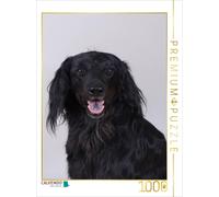 Puzzle CALVENDO Hovawart | 1000 pièces, format assemblé 64 × 48 cm | Puzzle phot
