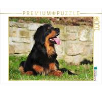 Puzzle CALVENDO Hovawart - Une chienne d'une beauté de rêve | 1000 pièces, forma