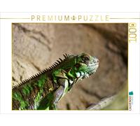Puzzle CALVENDO Iguane vert | 1000 pièces, format assemblé 64 × 48 cm | Puzzle p