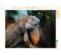 Puzzle · Iguane Vert (Iguana Iguana | Le Costa Rica, un vrai régal pour les animaux · 1000 pièces · Format assemblé 64 × 48 cm · CALVENDO Puzzle