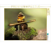 Puzzle CALVENDO Œil de tigre | 1000 pièces, format assemblé 64 × 48 cm | Puzzle