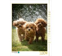 Puzzle CALVENDO Je dis toujours : « En avant, malgré la pluie » | 1000 pièces,